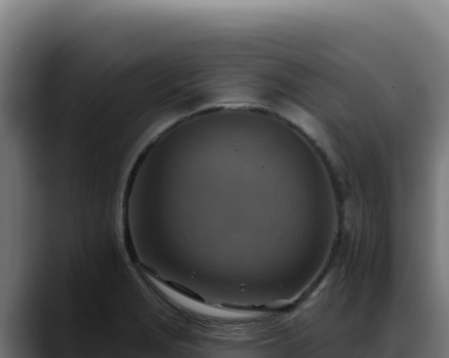 X0000088391229200705291401