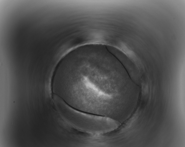 X0000088391230200705291401