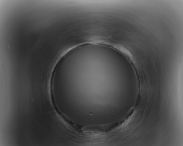 X0000088391231200705291401