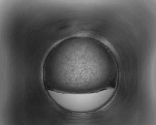 X0000088391232200705291401