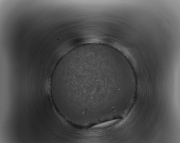 X0000088391233200705291401