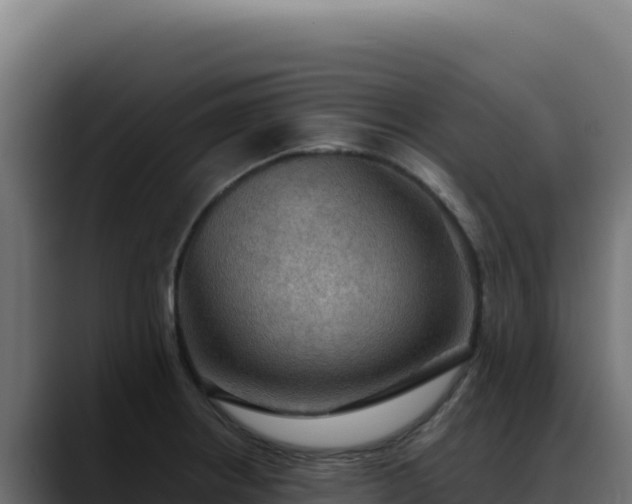 X0000088391234200705291401