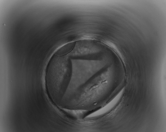 X0000088391235200705291401