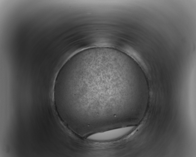 X0000088391236200705291401