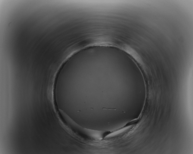 X0000088391237200705291401