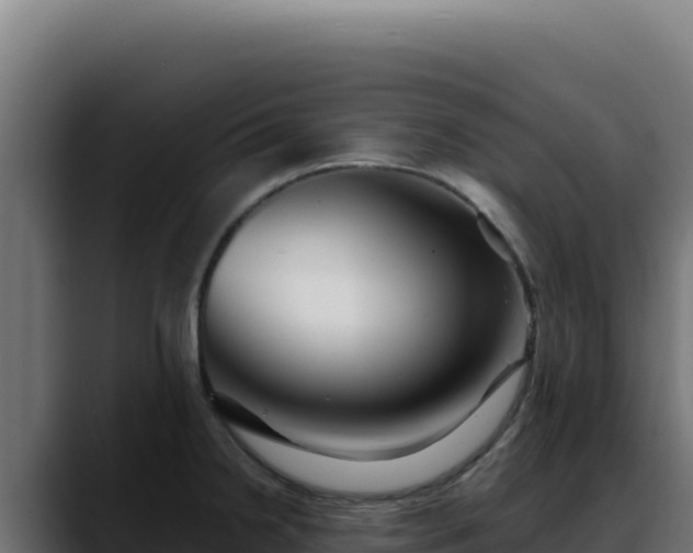 X0000088391238200705291401