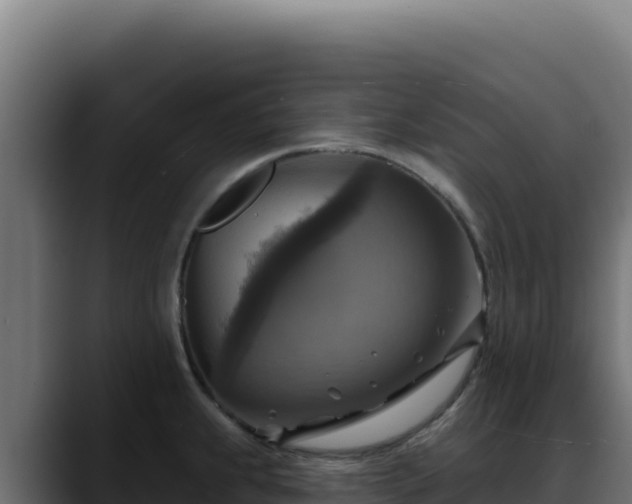 X0000088391239200705291401