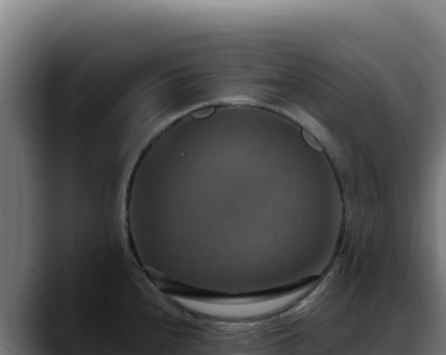 X0000088391240200705291401