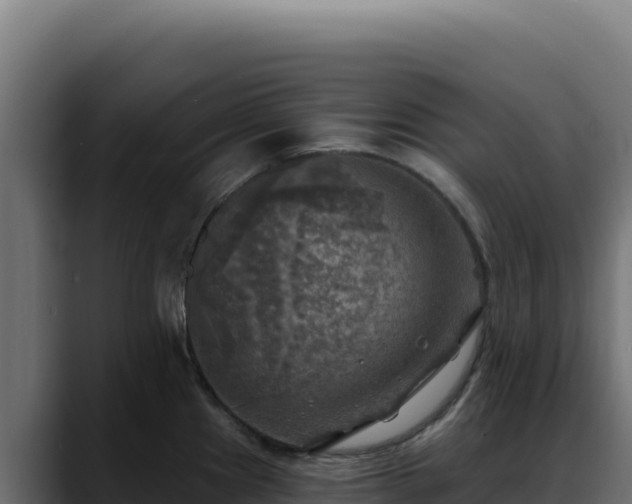 X0000088391241200705291401