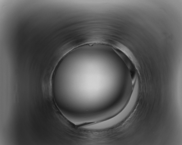 X0000088391242200705291401