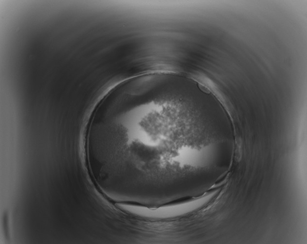 X0000088391243200705291401