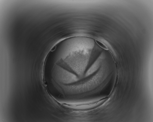 X0000088391244200705291401