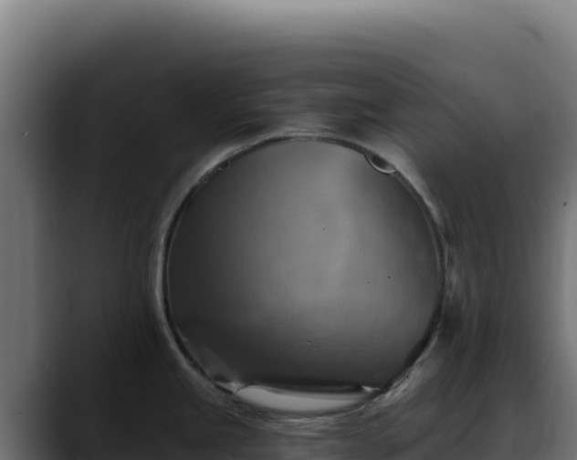 X0000088391245200705291401