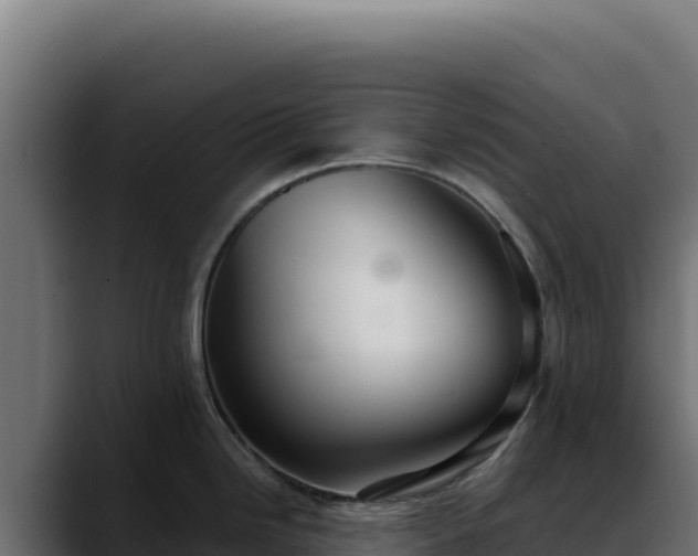 X0000088391246200705291401