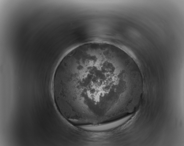 X0000088391247200705291402