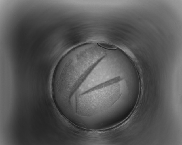 X0000088391248200705291402