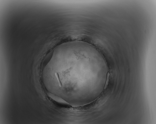 X0000088391249200705291401