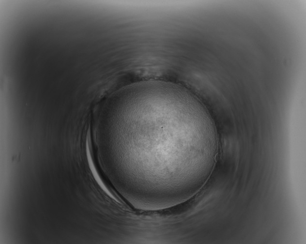 X0000088391250200705291401