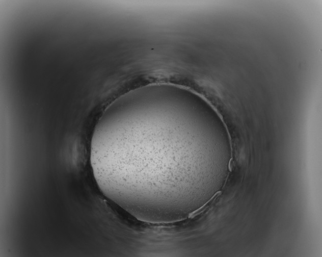 X0000088391253200705291401