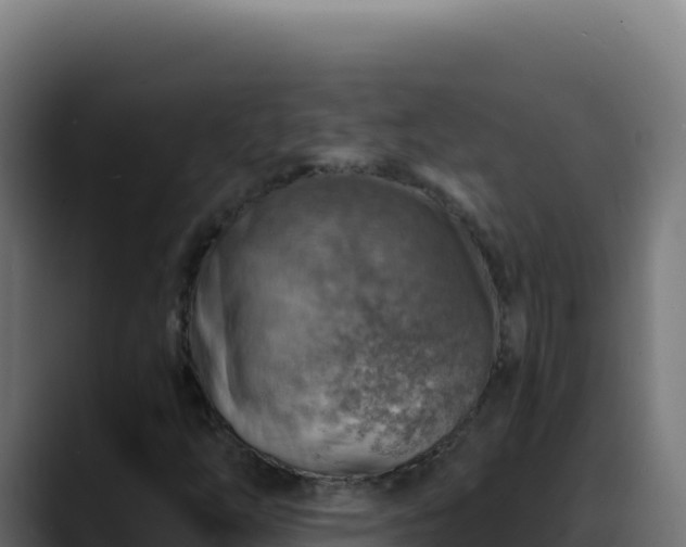 X0000088391254200705291401