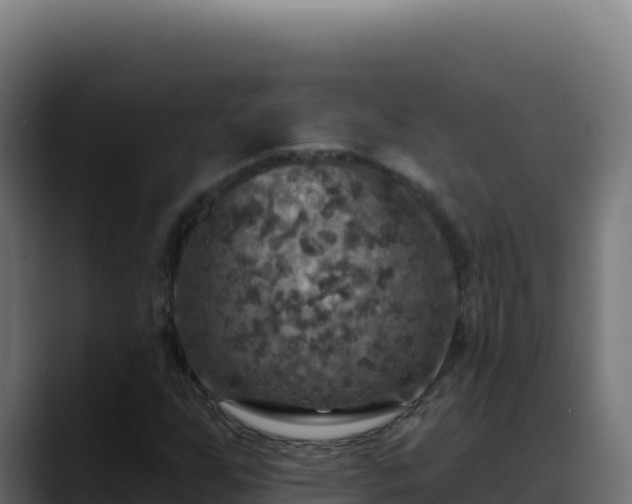 X0000088391255200705291401