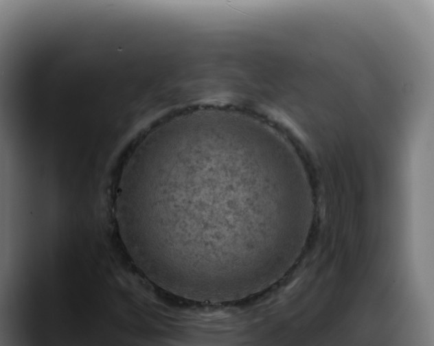 X0000088391256200705291401