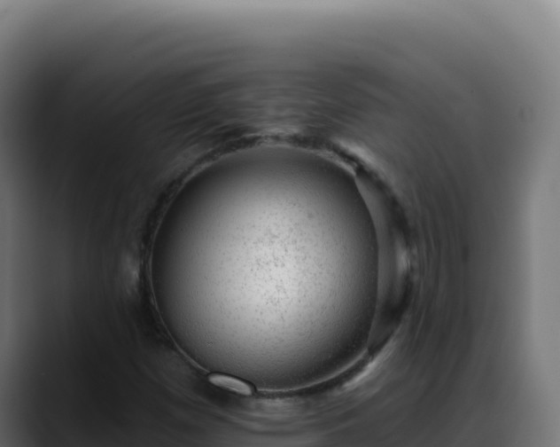 X0000088391257200705291401