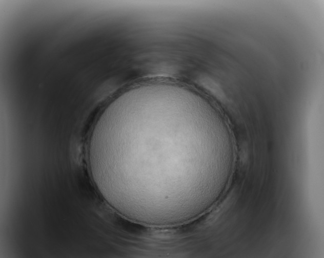 X0000088391258200705291401