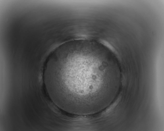 X0000088391259200705291401