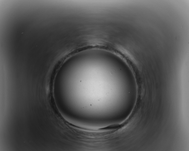 X0000088391261200705291401