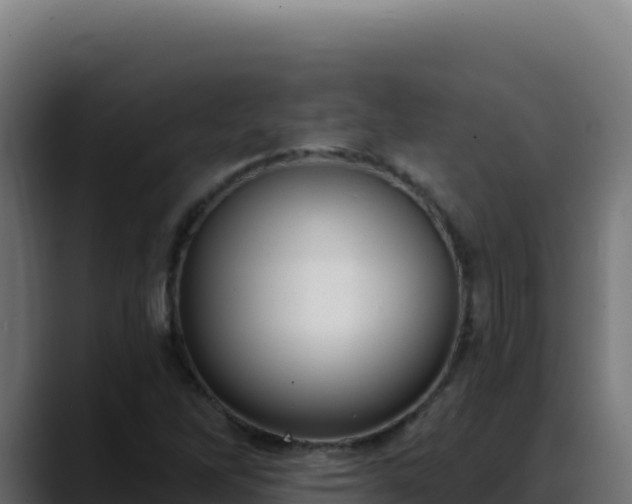 X0000088391262200705291401