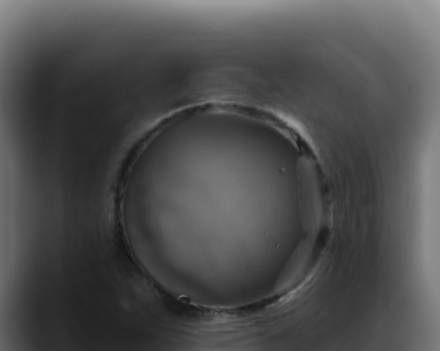 X0000088391263200705291401