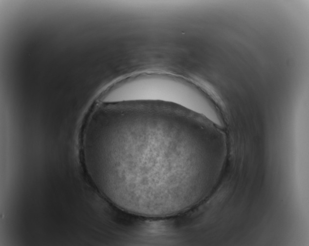 X0000088391264200705291401