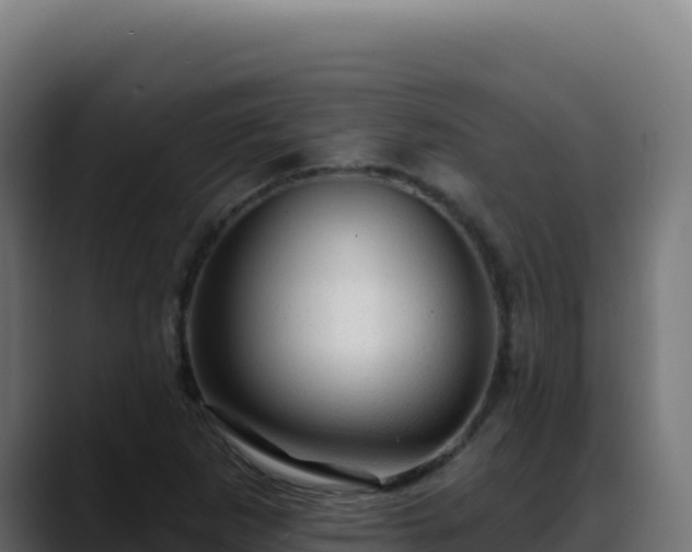 X0000088391265200705291401