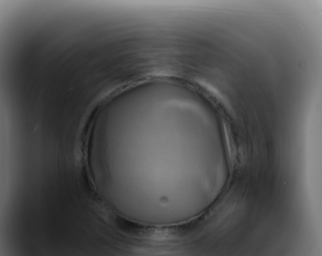 X0000088391266200705291401