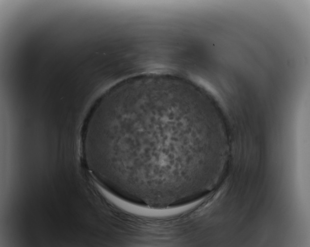 X0000088391267200705291401