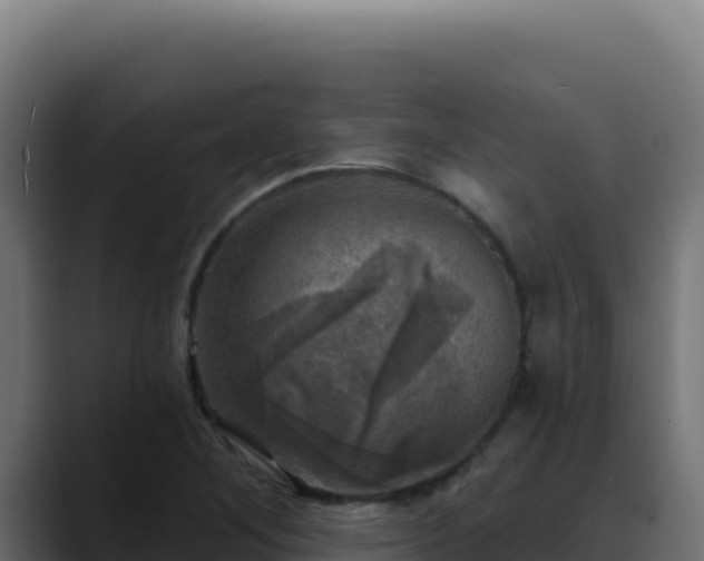 X0000088391268200705291401