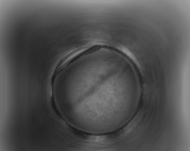 X0000088391269200705291401