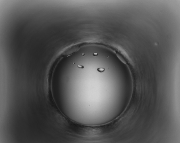 X0000088391270200705291401