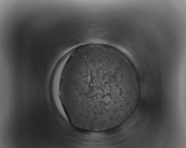 X0000088391271200705291401