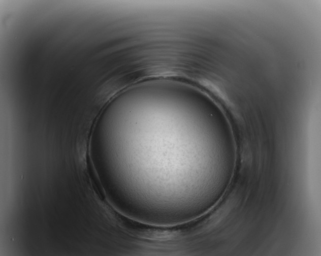 X0000088391273200705291401