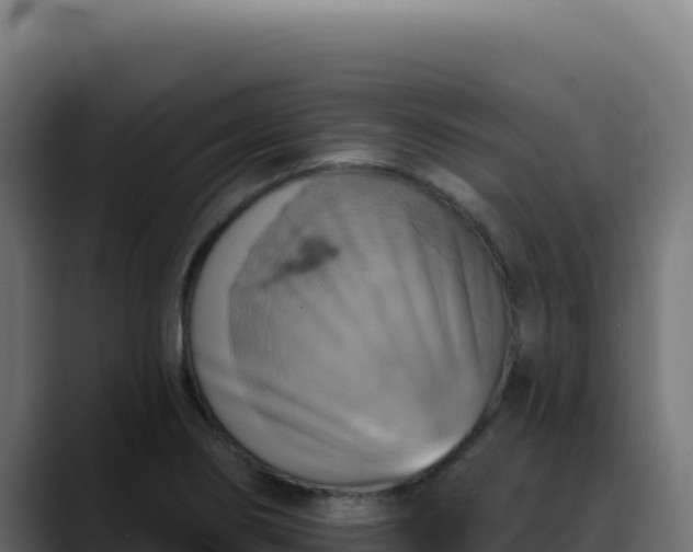 X0000088391274200705291401