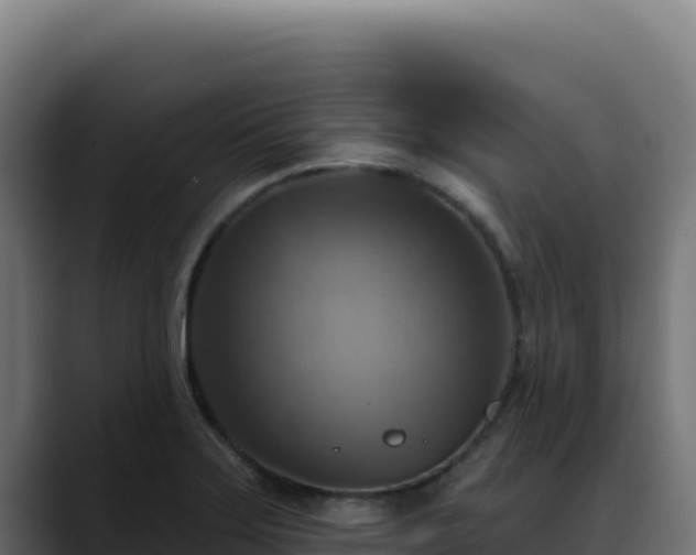 X0000088391275200705291401