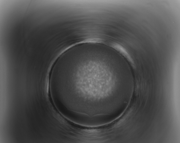 X0000088391276200705291401