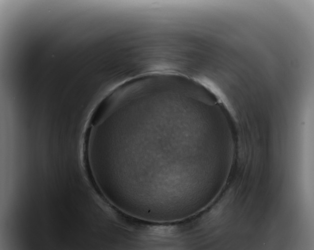 X0000088391277200705291401