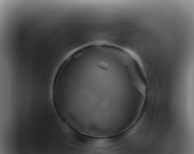 X0000088391279200705291400