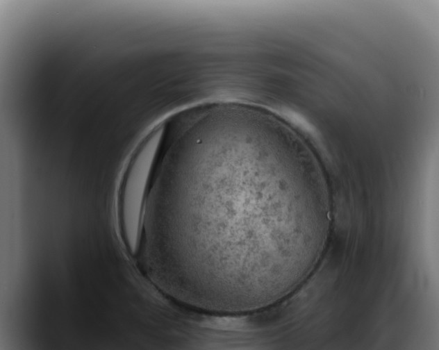 X0000088391280200705291400