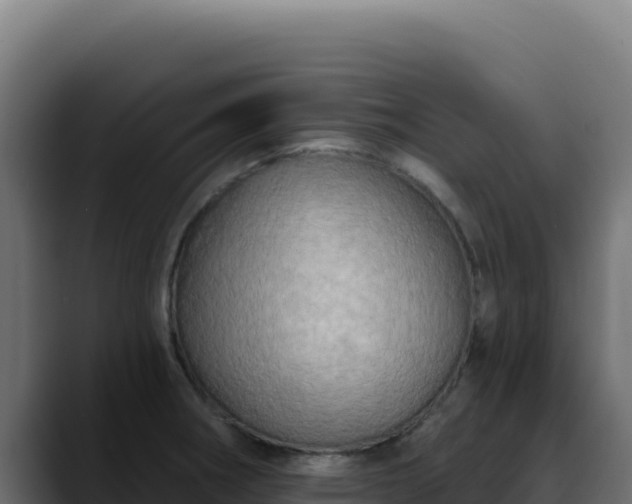 X0000088391282200705291400