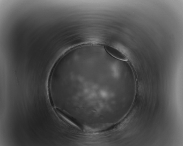 X0000088391283200705291400