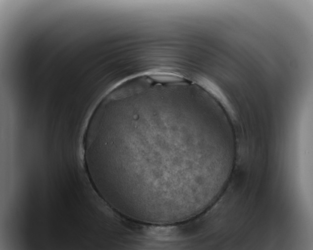 X0000088391284200705291400